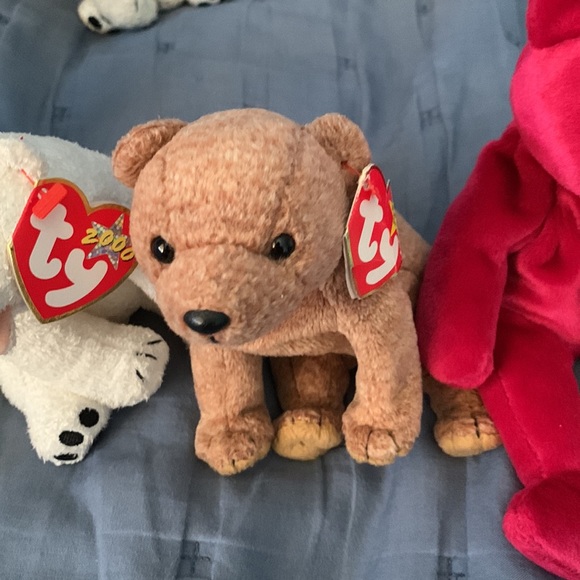 Ty beanie babies bear random bear lot. - Picture 5 of 7